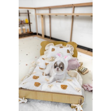 장모치와와 [Chihuahua]